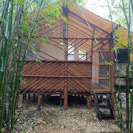 Cabana Zapote En Rancho Los Jaguares Jungle Retreat Tulum Hotel Exterior photo