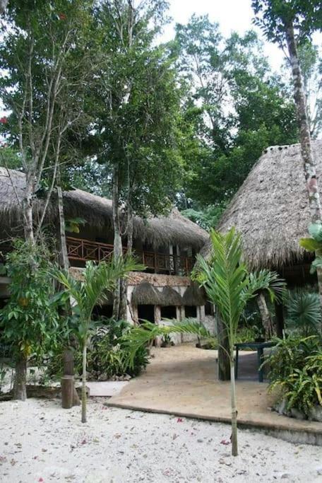 Cabana Zapote En Rancho Los Jaguares Jungle Retreat Tulum Hotel Exterior photo